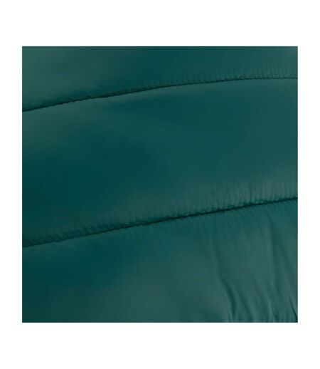 Veste Unie Sans Manches Marizion Femme Vert Sarcelle Regatta