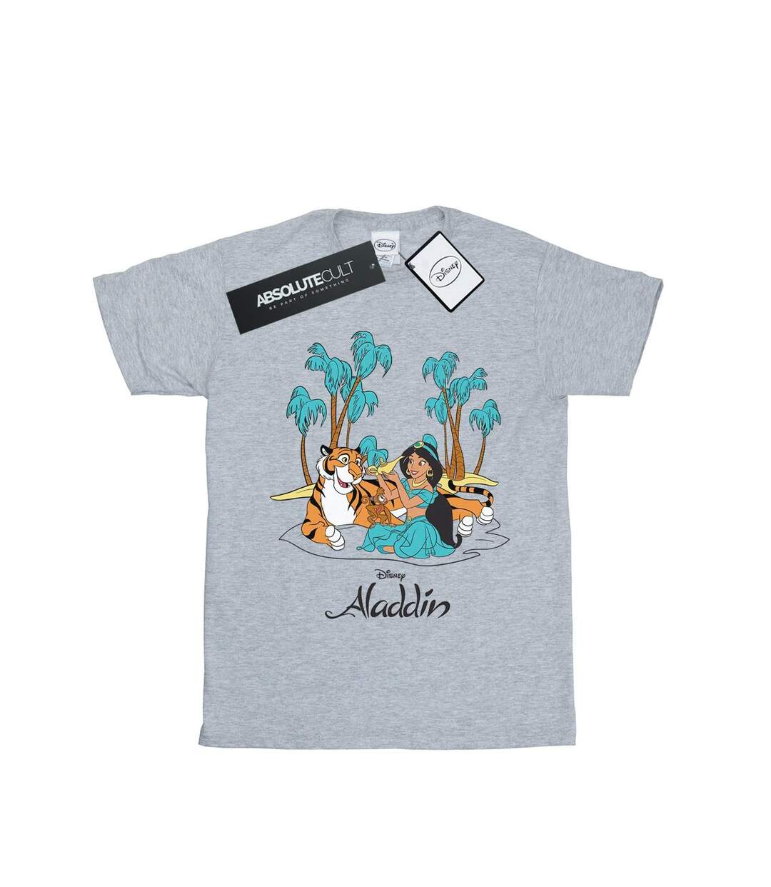 Disney Femmes/Ladies Aladdin Jasmine Abu Rajah Beach Cotton Boyfriend T-Shirt (Gris sportif) - UTBI48955-1
