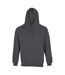 Sweat À Capuche Condor Adulte Gris Souris SOLS-1