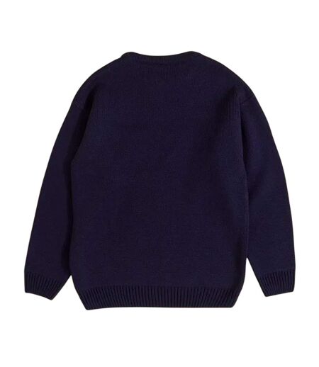 Unisex Adult Gromit Knitted Jumper Blue Wallace And Gromit