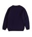 Unisex Adult Gromit Knitted Jumper Blue Wallace And Gromit-3