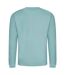 Unisex Adult Soft Touch Sweatshirt Seafoam Awdis-2
