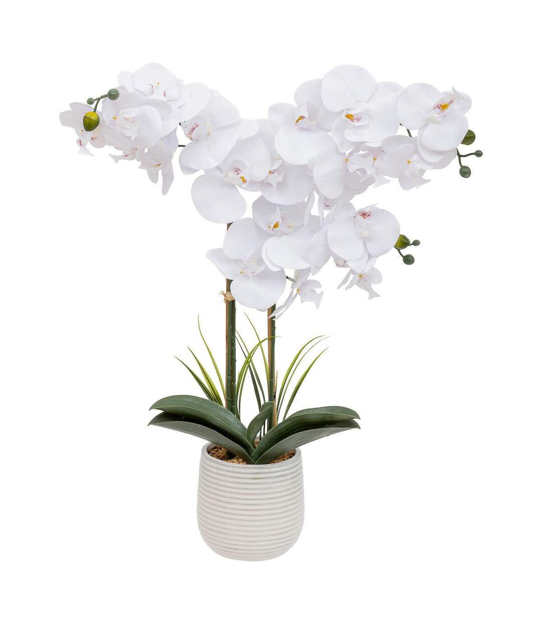 Orchidée Artificielle en Pot Riva 60cm Blanc-1