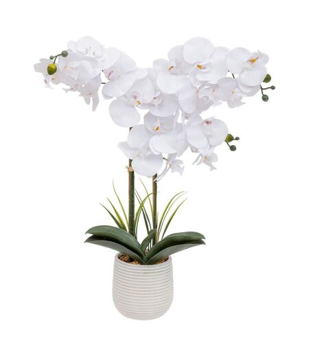 Orchidée Artificielle en Pot Riva 60cm Blanc
