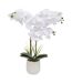 Orchidée Artificielle en Pot Riva 60cm Blanc-1