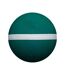 Molten - Ballon de dodgeball (Vert / Blanc) (Taille 3) - UTCS629
