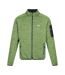 Veste polaire newhill homme vert piquant / bleu sarcelle foncé Regatta