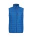 Mountain Warehouse Mens Turbine Vest (Cobalt Blue) - UTMW175