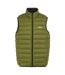 Mens marizion quilted gilet nephrite green Regatta-1