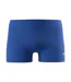 Mens Big Logo Endurance+ Swim Shorts Blue Speedo-1