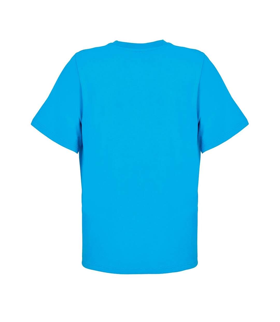Womens/ladies Legend T-shirt Aqua SOLS-2
