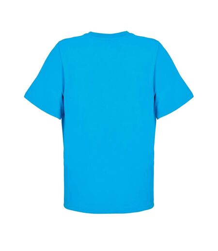 Womens/ladies Legend T-shirt Aqua SOLS