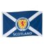 Drapeau Motif/style Emblème Taille Unique Bleu Scottish FA-1