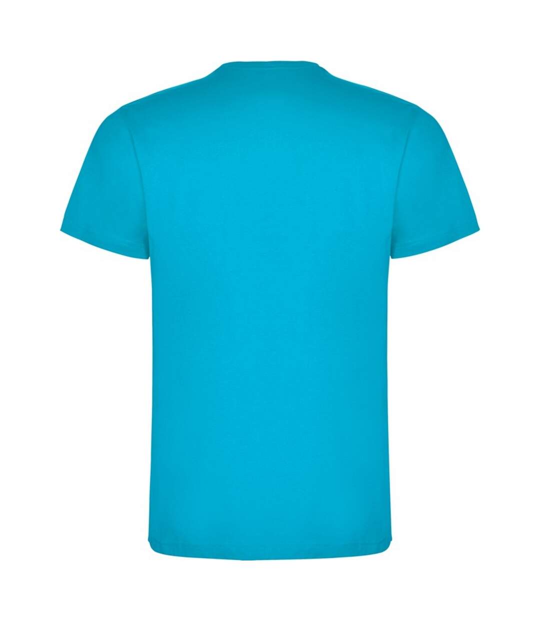 Mens dogo premium t-shirt turquoise Roly