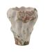 Vase Anémone en Argile Lune 42cm Beige-1