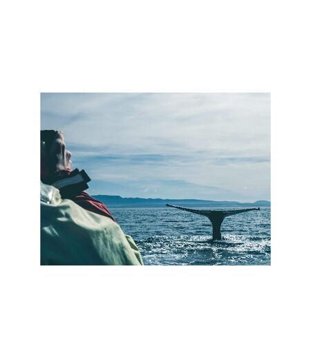 Séjour en Islande : 4 jours avec aurores boréales et observation des baleines pour 2 - SMARTBOX - Coffret Cadeau Séjour