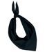 Lot de 10 bandanas fiesta - noir