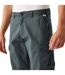Mens Ruwan Casual Shorts Seal Grey Regatta-4