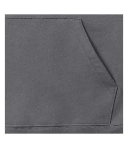 Sweat À Capuche Authentic Homme Gris Russell