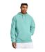 Sweat À Capuche Homme Bleu Clair Under Armour-1