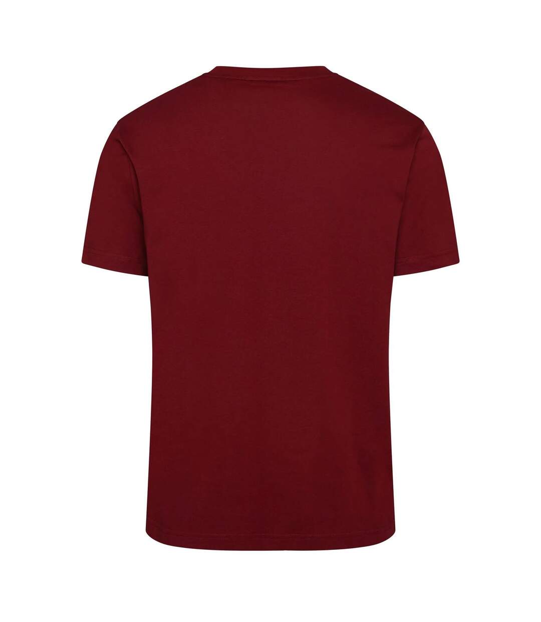 T-shirt Motif/style Imprimé Graphique Homme Rouge Gant-2