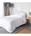 Oreiller en Polyester Anti Acarien 60x60cm Blanc-2