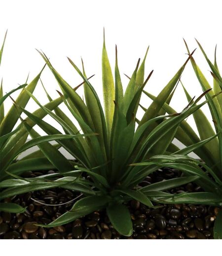 Centre de Table Aloe Vera Plant 31cm Blanc