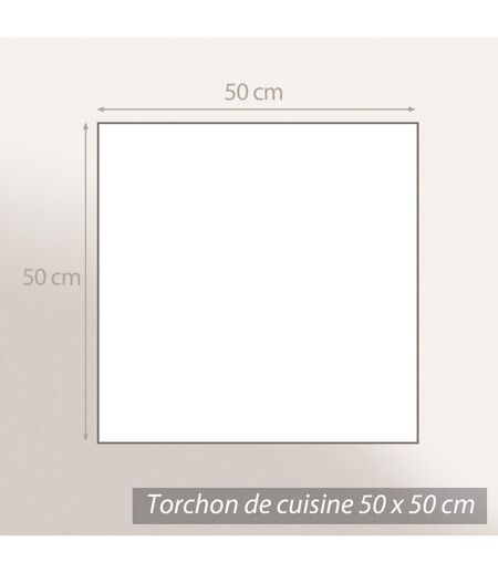 Lot de 2 torchons de cuisine éponge 100% coton CACTUS