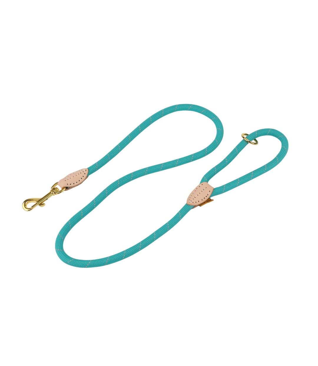 Reflective leather dog lead one size teal Digby & Fox-1
