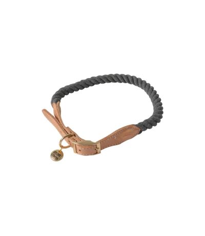 Collier Pour Chien Réglable City 70cm Anthracite