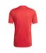Unisex Adult 2026 Belgium Home Jersey Red Gold Adidas-3