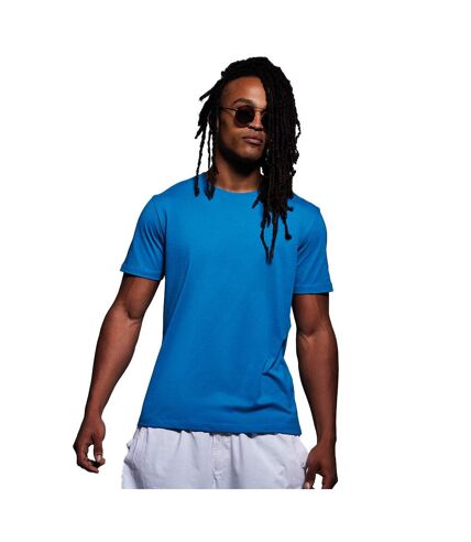 Anthem Unisex Adult Midweight Natural T-Shirt (Royal Blue)