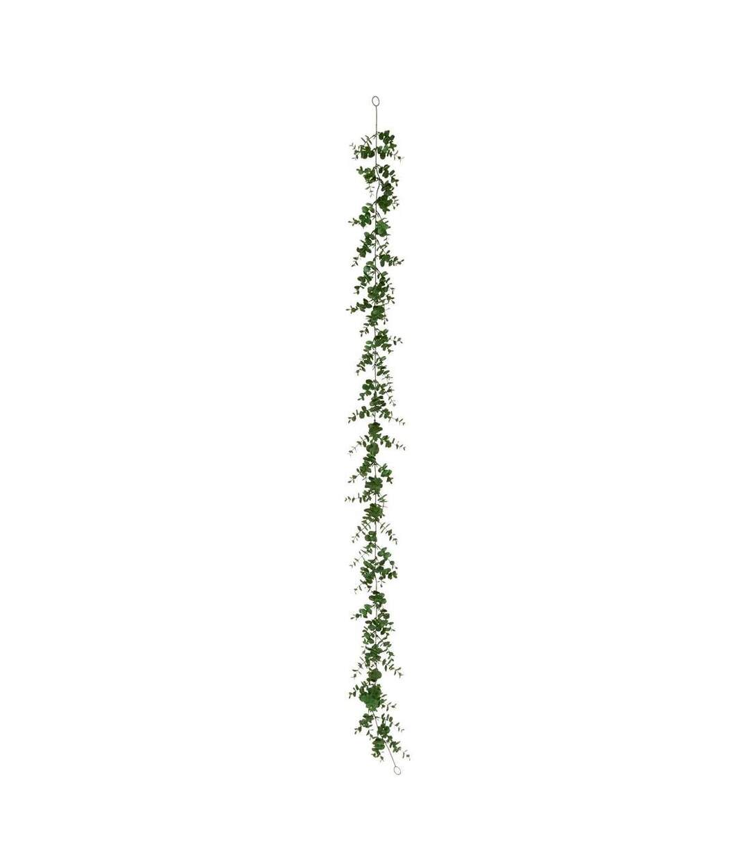 Guirlande d'Eucalyptus Artificiel Walker 170cm Vert-1