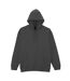 Sweat À Capuche Softstyle Adulte Fumée Gildan-1