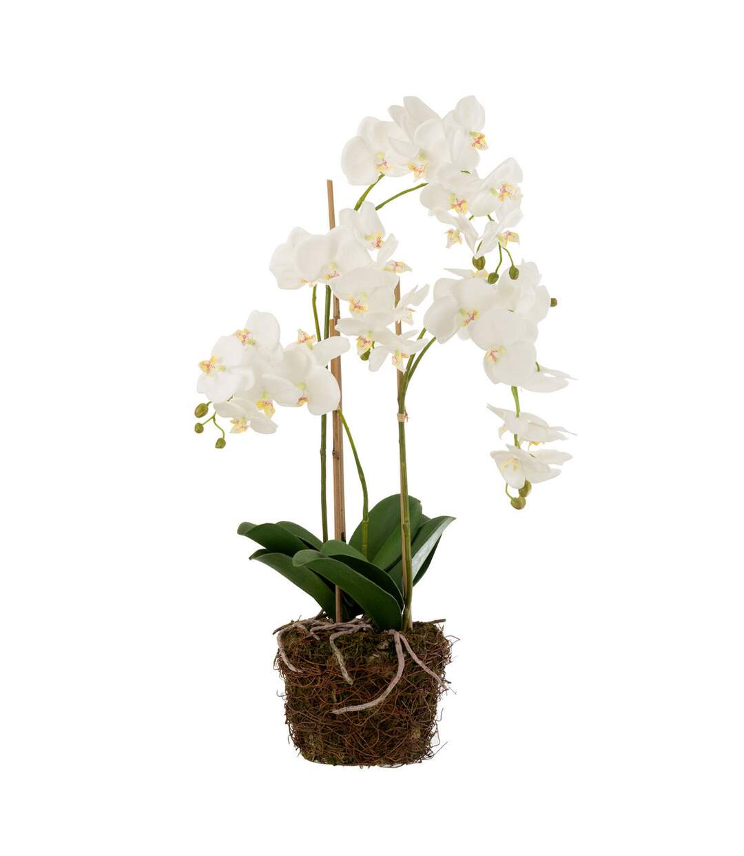 Fleur Artificielle Déco Orchidée en Terre 72cm Blanc-1
