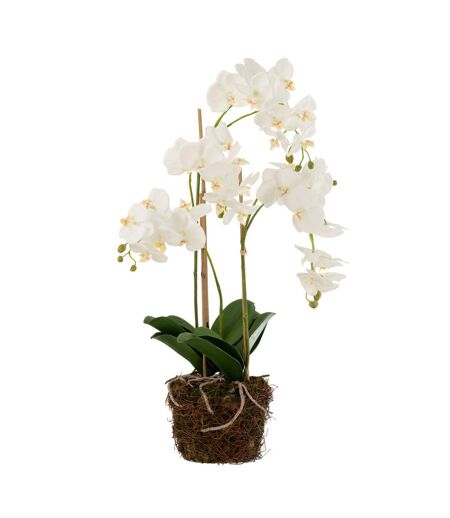 Fleur Artificielle Déco Orchidée en Terre 72cm Blanc