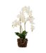 Fleur Artificielle Déco Orchidée en Terre 72cm Blanc-1