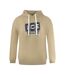 Sweat À Capuche Motif Logo Bloc Homme Beige Ice Iceberg-1