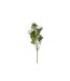 Fleur Artificielle Renoncule 60cm Blanc-2