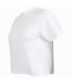 Skinni Fit Womens/Ladies Cropped Boxy T-Shirt (White)