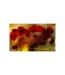 Papier Peint Poppies in Warm Tone II 450x270cm-2
