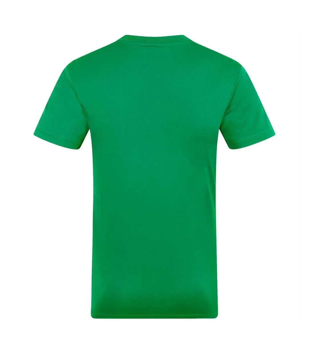 T-shirt Motif/style Rayures Contrastées Homme Vert Northern Ireland-2