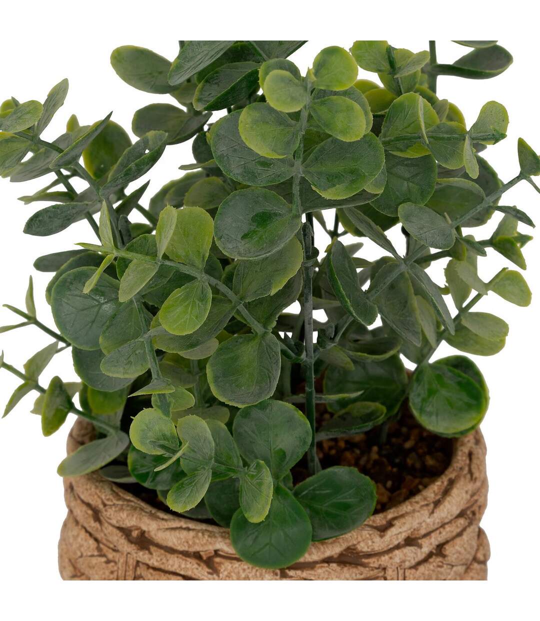 Eucalyptus Artificiel en Pot Jaye 27cm Vert-2