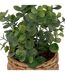 Eucalyptus Artificiel en Pot Jaye 27cm Vert-2