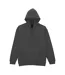 Sweat À Capuche Softstyle Homme Fumée Gildan-1