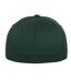 Casquette De Baseball Adulte Vert Foncé Flexfit-2