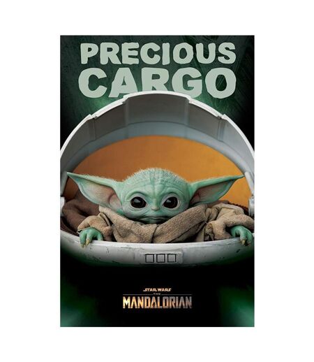 Star Wars The Mandalorian Precious Cargo Poster (Black/Green) (One Size) - UTTA5851