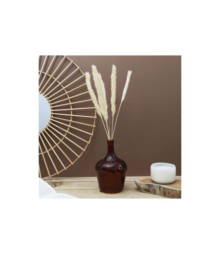 Lot de 6 Herbes de Pampa Séchées 60cm Beige