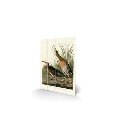 John James Audubon - Plaque SALT WATER MARSH HEN (Vert / Marron / Blanc) (29,5 cm x 20 cm) - UTPM5659