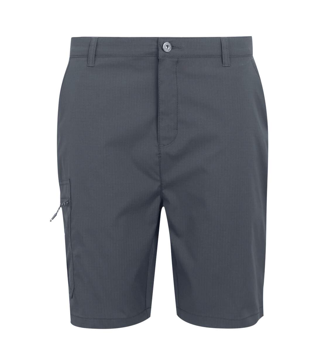 Short Dalry Homme Gris Phoque Regatta-2